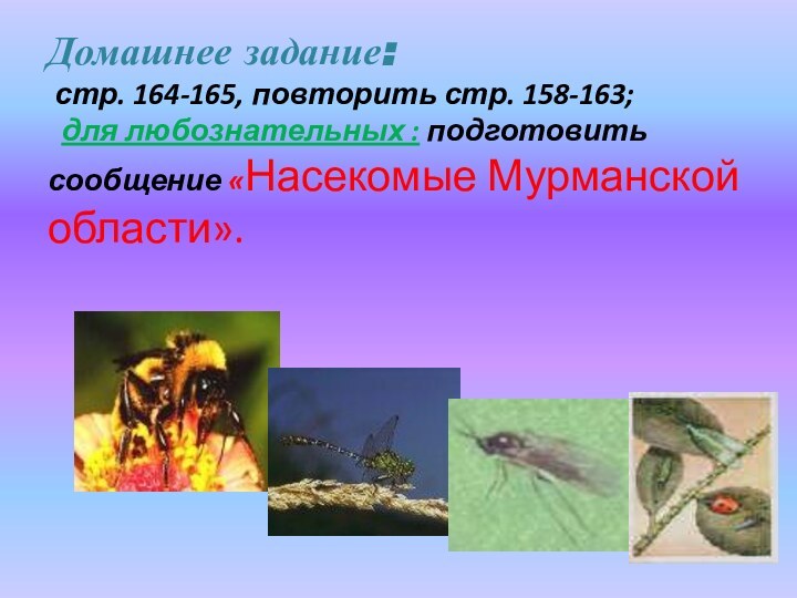 Домашнее задание:   стр. 164-165, повторить стр. 158-163;  для любознательных