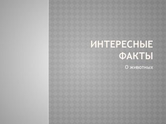 Интересные факты