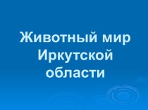 Животный мир Иркутской области