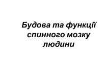 Будова та функції спинного мозкулюдини