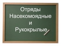 Отряды Насекомоядные и Рукокрылые