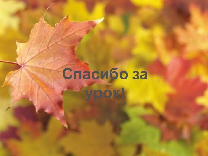 Спасибо за урок!