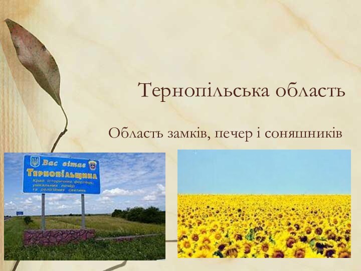 Тернопільська областьОбласть замків, печер і соняшників