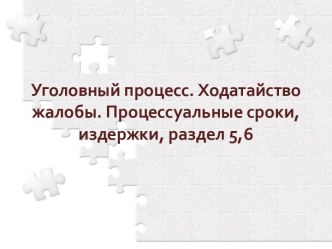 Уголовный процесс. Ходатайство жалобы. Процессуальные сроки, издержки, раздел 5,6