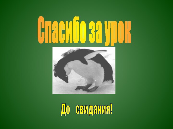 Спасибо за урокДо  свидания!