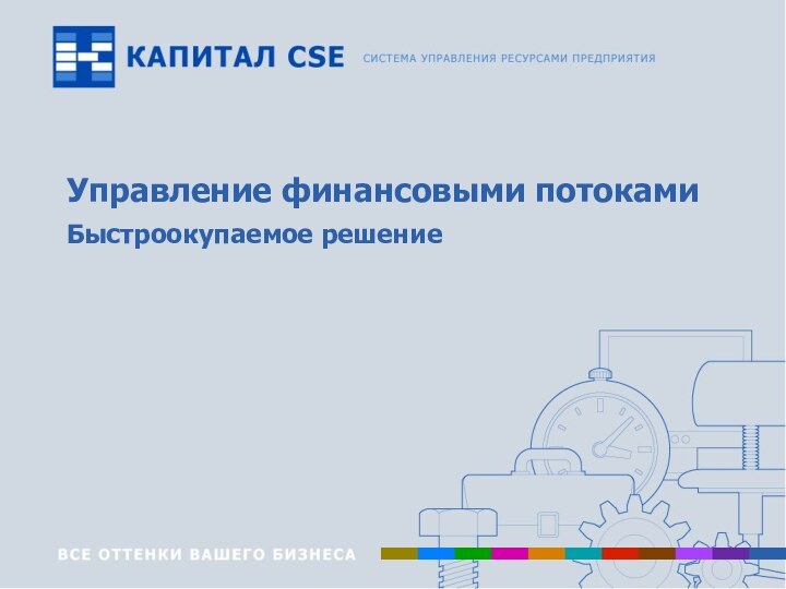 Управление финансовыми потоками Быстроокупаемое решение