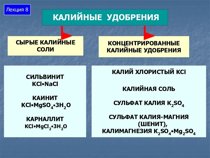 Лекция 8 СИЛЬВИНИТ KCl•NaClКАИНИТ KCl•MgSO4•3H2OКАРНАЛЛИТ KCl•MgCl2•3H2O СЫРЫЕ КАЛИЙНЫЕ СОЛИКОНЦЕНТРИРОВАННЫЕКАЛИЙНЫЕ УДОБРЕНИЯКАЛИЙ ХЛОРИСТЫЙ KClКАЛИЙНАЯ