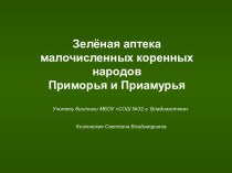 Зеленая аптека малочисленных народов