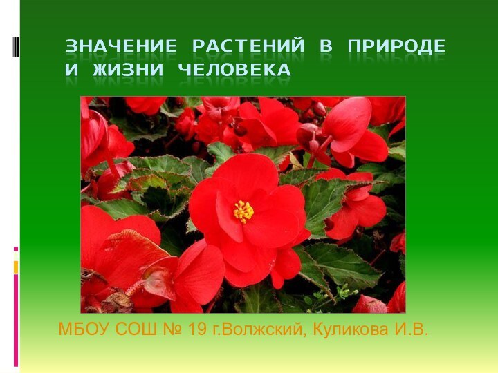 МБОУ СОШ № 19 г.Волжский, Куликова И.В.