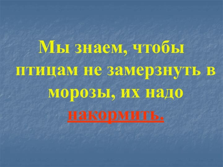 Мы знаем, чтобы птицам не замерзнуть в морозы, их надо накормить.