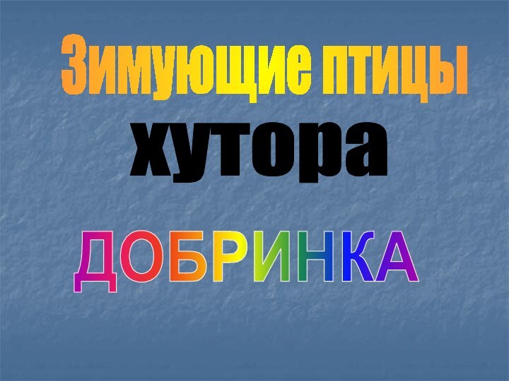 хутора Зимующие птицы ДОБРИНКА