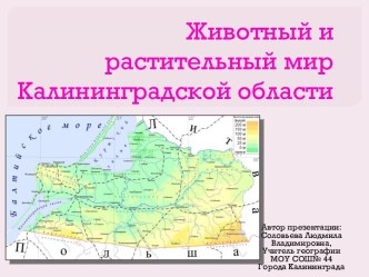 Животный и растительный мир Калининградской области