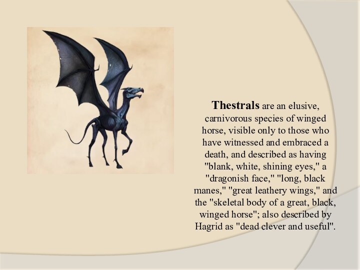 Thestrals are an elusive, carnivorous species of winged horse, visible only to