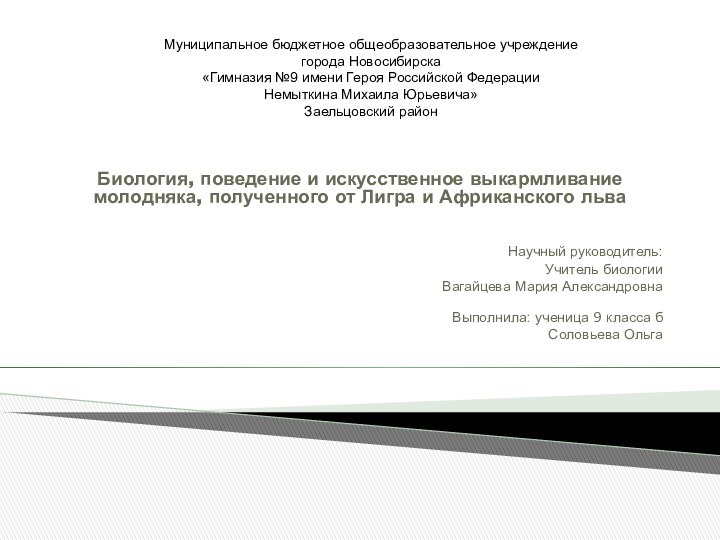 Биология, поведение и искусственное выкармливание молодняка, полученного от Лигра и Африканского льва