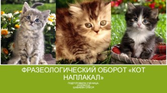 ФРАЗЕОЛОГИЧЕСКИЙ ОБОРОТ Кот наплакал