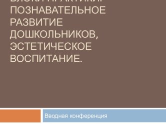 Педагогическая практика.Блоки практики:познавательное развитие дошкольников,эстетическое  воспитание.