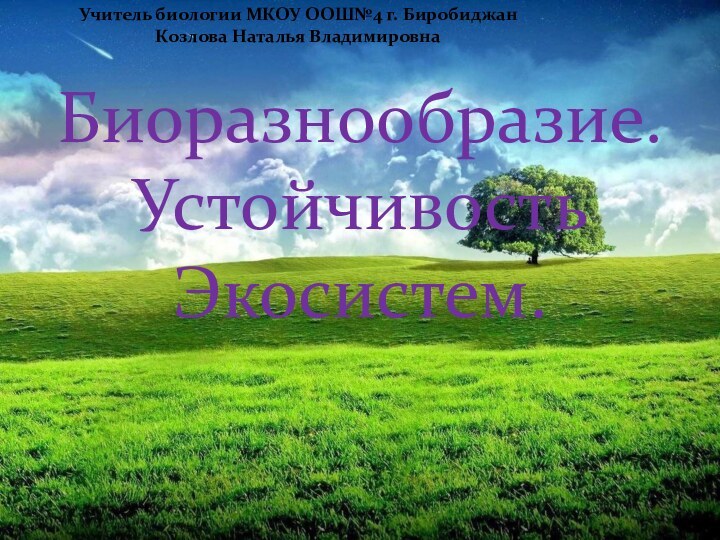 Биоразнообразие. Устойчивость Экосистем.Учитель биологии МКОУ ООШ№4 г. БиробиджанКозлова Наталья Владимировна