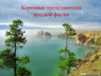 Коренные представители русской фауны