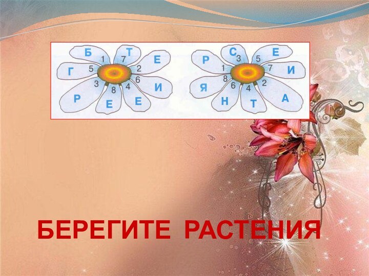 БЕРЕГИТЕ РАСТЕНИЯ