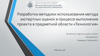 Разработка методики использования метода экспертных оценок в процессе выполнения проекта в предметной области Технология