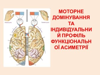 МОТОРНЕ ДОМІНУВАННЯ ТА ІНДИВІДУАЛЬНИЙ ПРОФІЛЬ ФУНКЦІОНАЛЬНОЇ АСИМЕТРІЇ