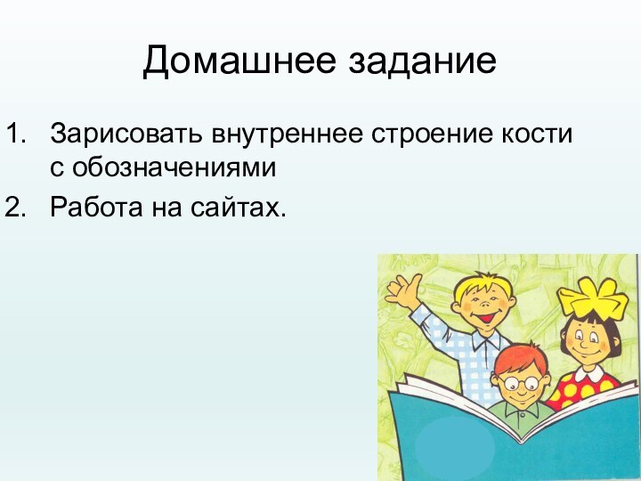 Домашнее заданиеЗарисовать внутреннее строение кости с обозначениямиРабота на сайтах.