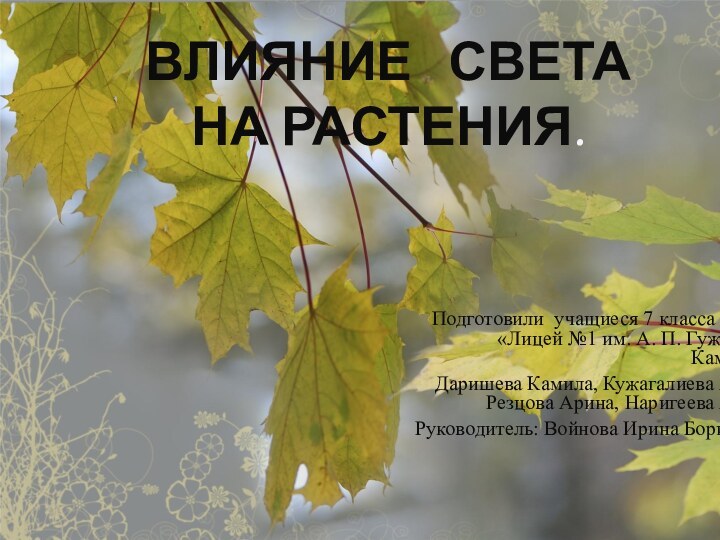 Влияние  света  на растения.Подготовили учащиеся 7 класса МБОУ«Лицей №1 им.