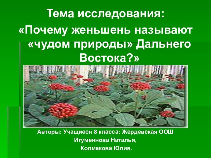 Тема исследования:«Почему женьшень называют «чудом природы» Дальнего Востока?» Авторы: Учащиеся 8 класса: