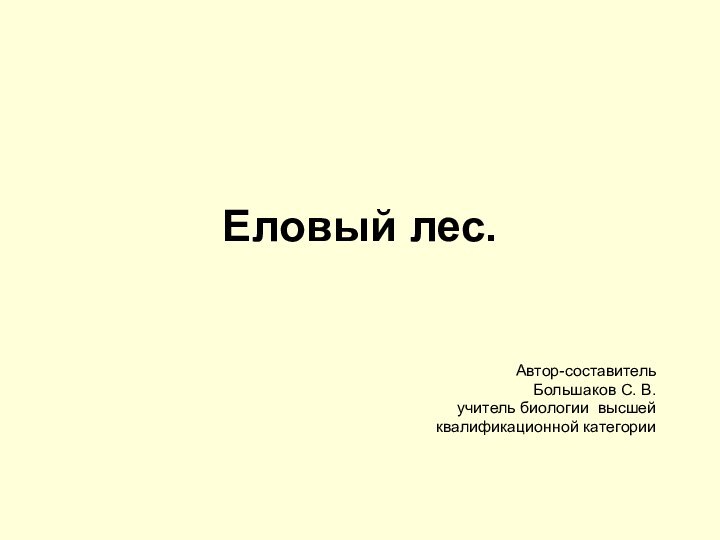 Еловый лес.Автор-составительБольшаков С. В. учитель биологии высшей квалификационной категории