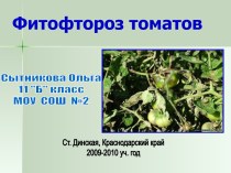 Фитофтороз томатов