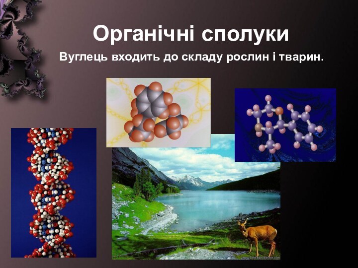 Органічні сполукиВуглець входить до складу рослин і тварин.