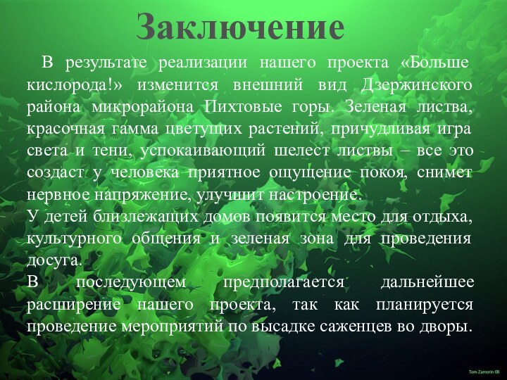 Заключение В результате реализации нашего проекта «Больше кислорода!» изменится внешний вид Дзержинского