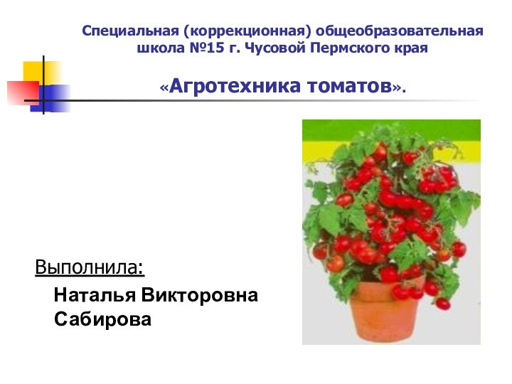 Специальная (коррекционная) общеобразовательная  школа №15 г. Чусовой Пермского края  «Агротехника