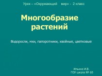 Многообразие растений