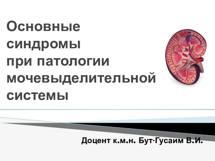 Основные синдромы  при патологии мочевыделительной системыДоцент к.м.н. Бут-Гусаим В.И.