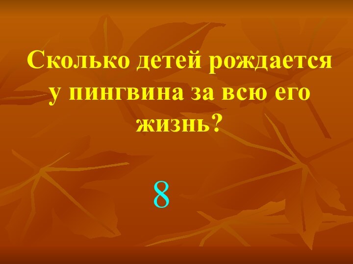 Сколько детей рождается у пингвина за всю его жизнь?8