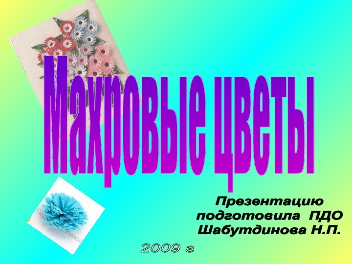 Презентациюподготовила ПДОШабутдинова Н.П.2009 гМахровые цветы