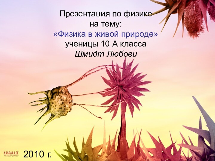 Презентация по физике на тему:  «Физика в живой природе» ученицы 10