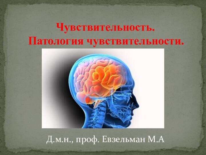 Чувствительность.  Патология чувствительности.Д.м.н., проф. Евзельман М.А