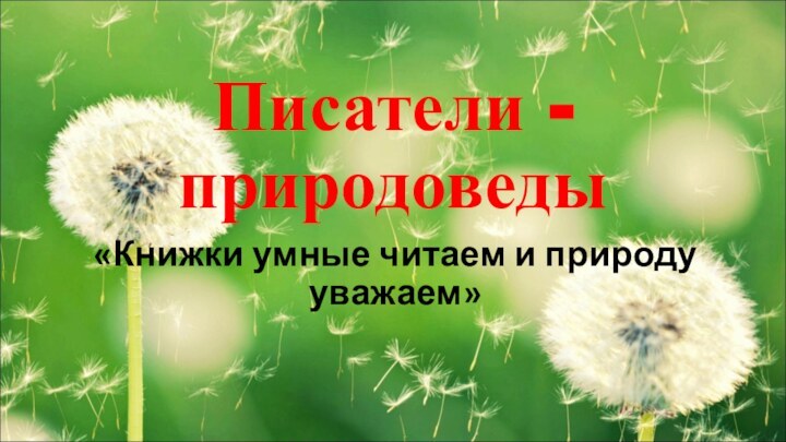 Писатели - природоведы«Книжки умные читаем и природу уважаем»