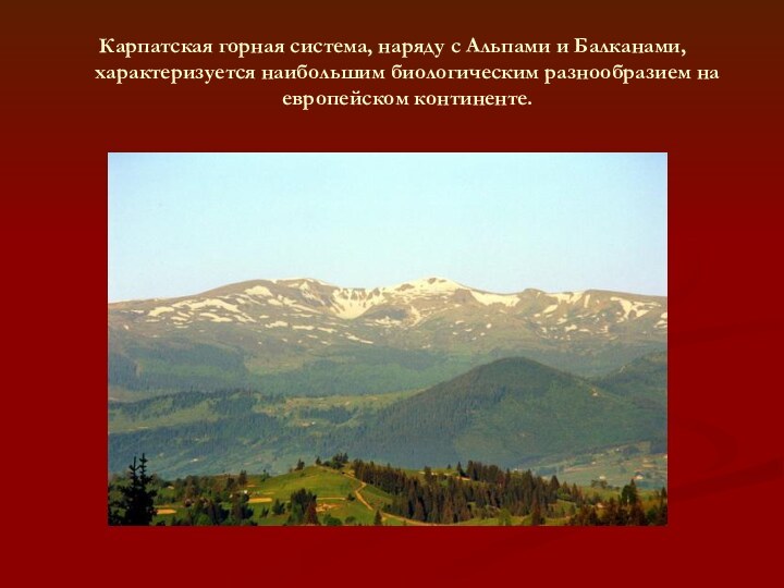 Карпатская горная система, наряду с Альпами и Балканами, характеризуется наибольшим биологическим разнообразием на европейском континенте.