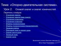 Опорно-двигательная система