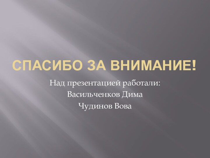 Спасибо за внимание!Над презентацией работали:Васильченков ДимаЧудинов Вова