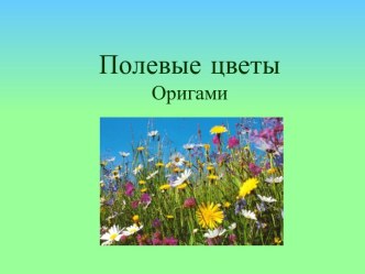 Полевые цветы Оригами