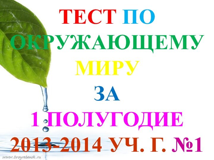 Тест по окружающему миру  за  1 полугодие  2013-2014 уч. г. №1