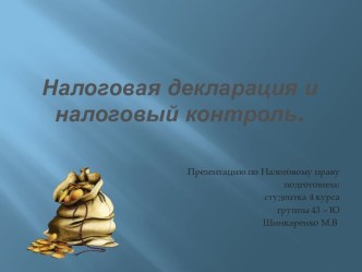 Налоговая декларация и налоговый контроль.