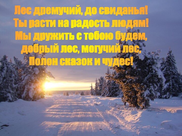 Лес дремучий, до свиданья!Ты расти на радость людям!Мы дружить с тобою будем,добрый