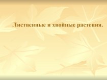 Лиственные и хвойные растения