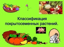 Классификация покрытосеменных растений