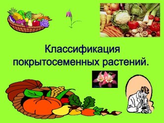 Классификация покрытосеменных растений